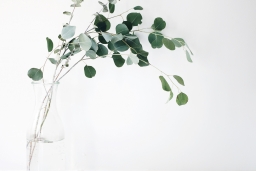 Treading-My-Own-Path-Minimalism