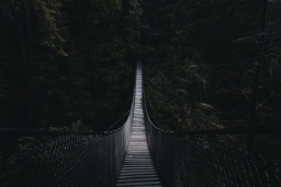 kevin-mueller-Vwevx9fYMbM-unsplash